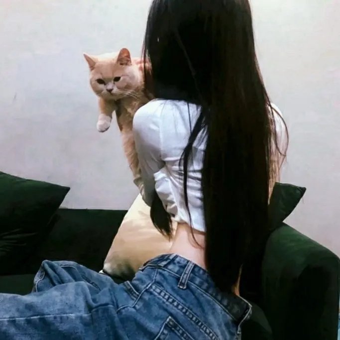 寻找完美先生